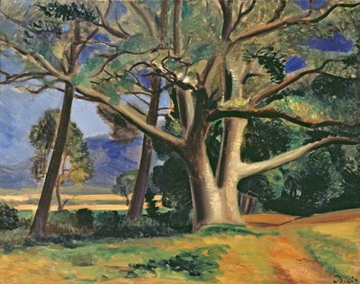 A nagy fa, 1929-30 körül (olaj, vászon) (lásd még 287578) alkotó: Andre Derain