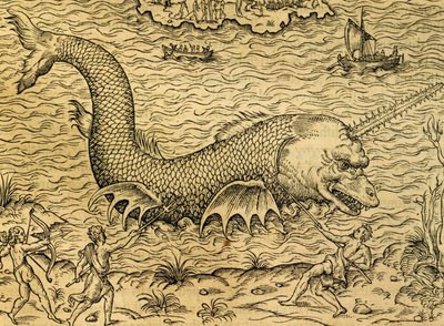 Tengeri szörny, metszet az Univerzális Kozmológiából, Andre Thevet (1504-1592), Párizs alkotó: Andre Thevet