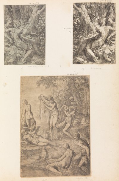 Nimfák fürdőzése, esetleg kb. 1545-50. alkotó: Andrea Schiavone