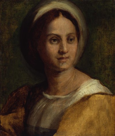  alkotó: Andrea del Sarto