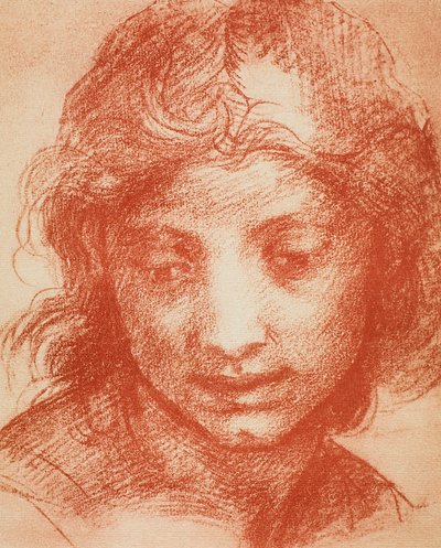 Boys Head alkotó: Andrea del Sarto