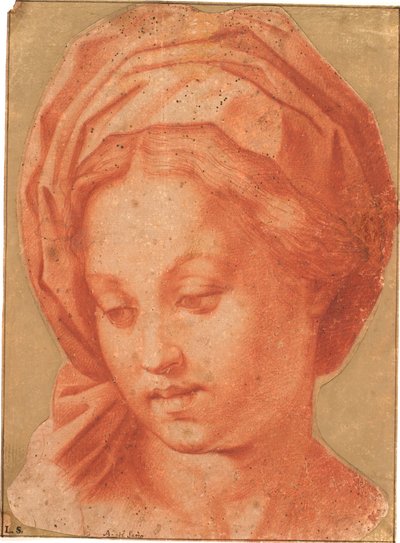 Borghese Madonna alkotó: Andrea del Sarto