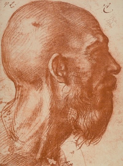Férfi feje profilban alkotó: Andrea del Sarto