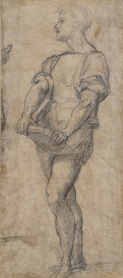 Álló fiatalság könyvet tartva, 1515 körül alkotó: Andrea del Sarto