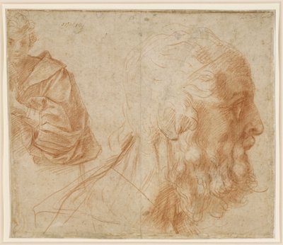  alkotó: Andrea del Sarto