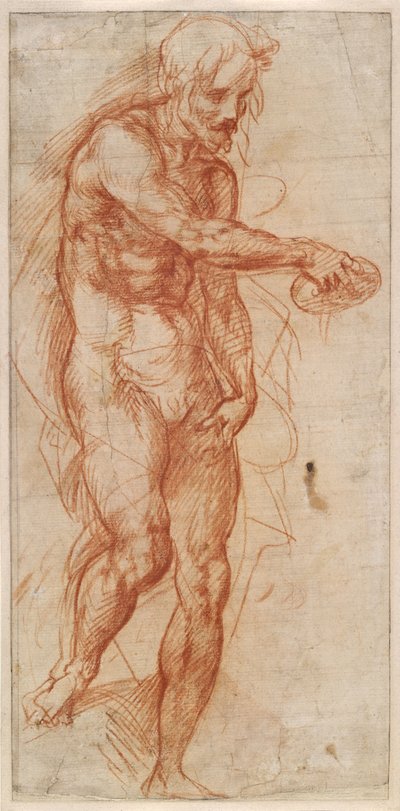 Studie für Johannes den Täufer alkotó: Andrea del Sarto