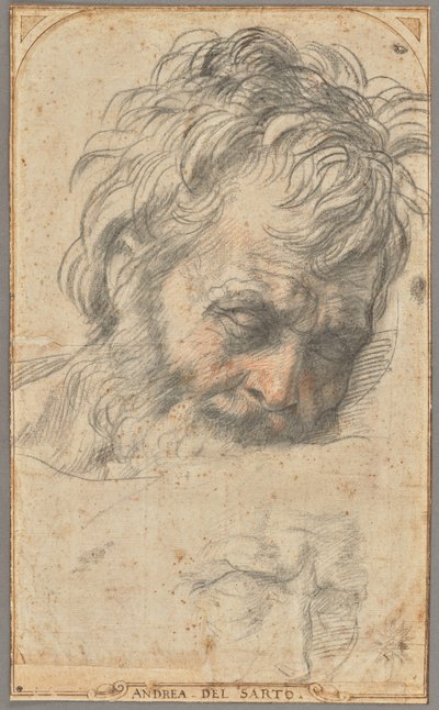 Tanulmány Szent József fejéhez (recto); két tanulmány lábakról (verso) alkotó: Andrea del Sarto