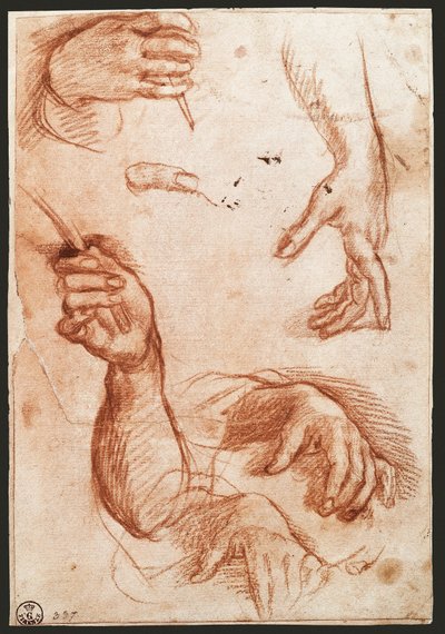 „Study of hands” rajzszén (szén) alkotó: Andrea del Sarto
