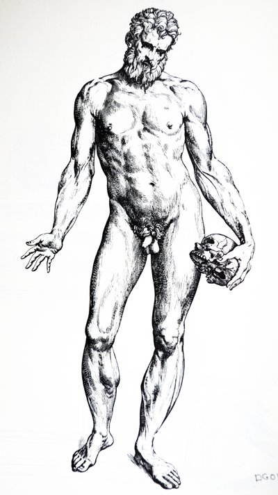 A tányérok a De Humani Corporis Fabrica hetedik könyvéből alkotó: Andreas Vesalius
