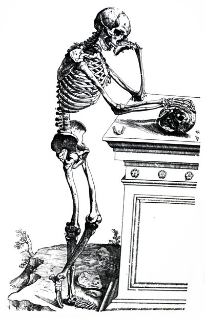 A tányérok a De Humani Corporis Fabrica hetedik könyvéből alkotó: Andreas Vesalius