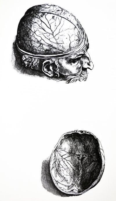 A De Humani Corporis Fabrica hetedik könyvének táblái alkotó: Andreas Vesalius