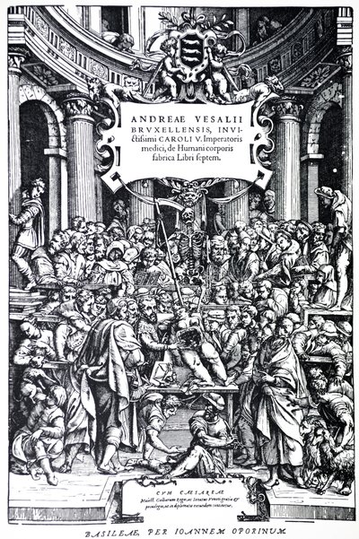 Címlap a De Humani Corporis Fabrica második kiadásához, 3. tábla, 1555 alkotó: Andreas Vesalius