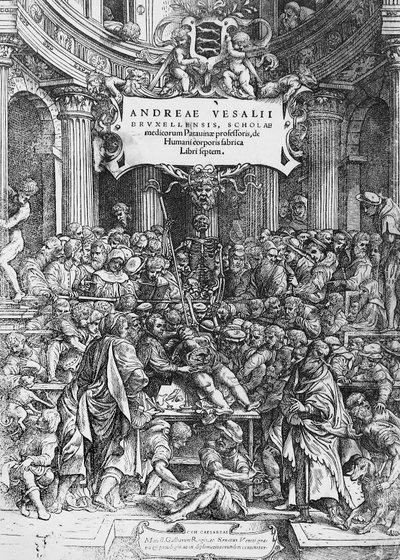 A De humani corporis fabrica (latinul az emberi test szövetéről) címlapja, ahol Andreas Vesalius holttestet boncolgat. alkotó: Andreas Vesalius