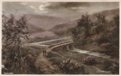 Dartmoor: Dartmeet (színes fotó) alkotó: Andrew Beer