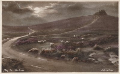 Hay Tor, Dartmoor (színes fotó) alkotó: Andrew Beer