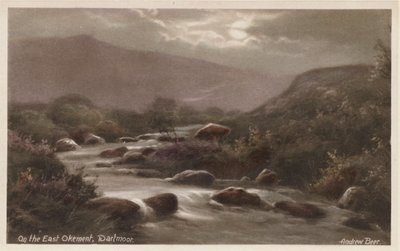 Az East Okementen, Dartmoor (színes fotó) alkotó: Andrew Beer