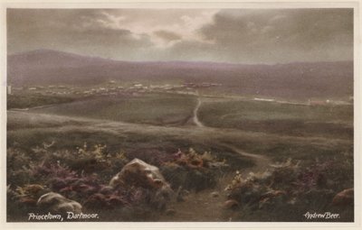 Princetown, Dartmoor (színes fénykép) alkotó: Andrew Beer