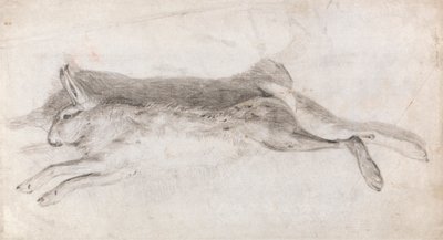 Döglött nyúl alkotó: Andrew Geddes