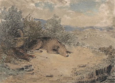 Juhászkutya alszik a tájon alkotó: Andrew Geddes
