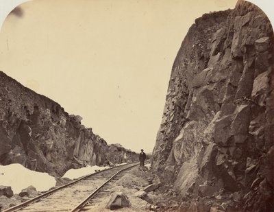 1. tábla. Carmichael