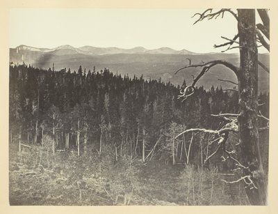 Snow and Timber Line, Medicine Bow Mountain alkotó: Andrew Joseph Russell