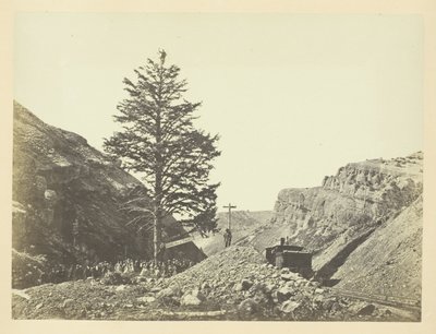 Thousand Mile Tree, Wilhelmina-hágó alkotó: Andrew Joseph Russell