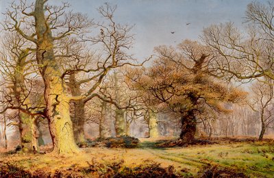 Tölgyfák a Sherwood-erdőben alkotó: Andrew MacCallum