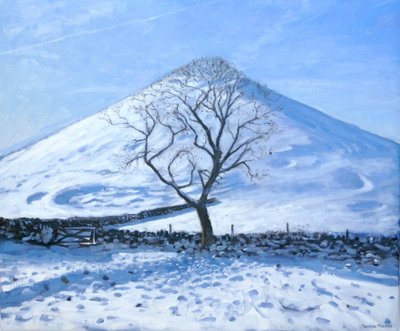 Hill and Tree, Derbyshire, 2008 alkotó: Andrew Macara