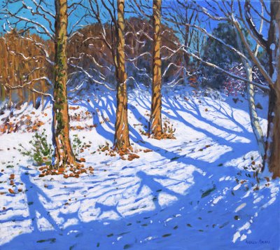 November hó, Allestree Park, Derby, 2017, alkotó: Andrew Macara