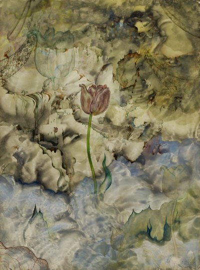Keletkezés alkotó: Andrey Avinoff