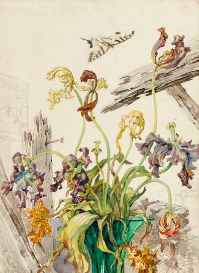 Tulipánok alkotó: Andrey Avinoff