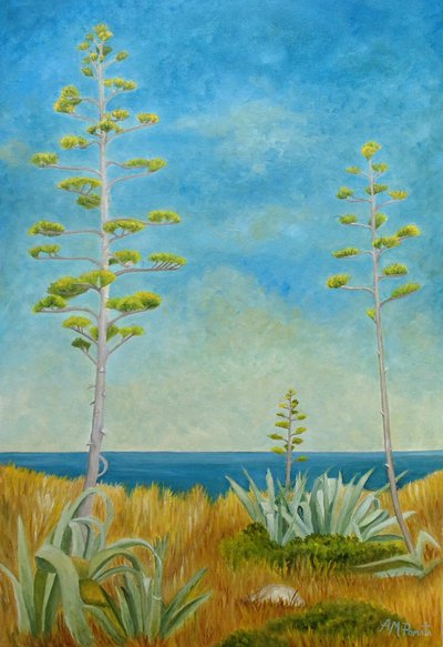 Agave az óceán partján alkotó: Angeles M. Pomata