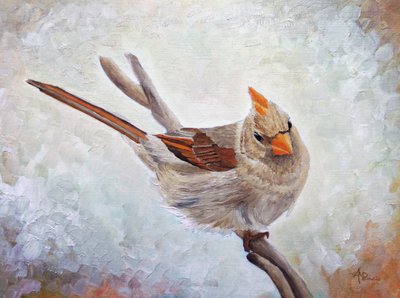 Éber nőstény kardinális alkotó: Angeles M. Pomata