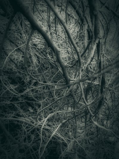  alkotó: Angelo Cerantola
