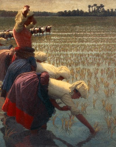 The Mondine (olasz női rizsmunkás) alkotó: Angelo Morbelli