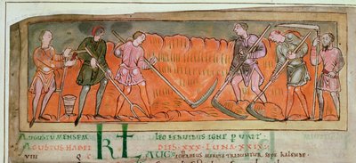 Cott Tib B V f.6v Betakarítás, naptárból, 1030 körül (vellum) (a 41681 részlete) alkotó: Anglo Saxon