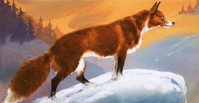 Róka a hóban alkotó: Angus McBride