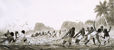 A Karib-tenger őslakosai hálóval halásznak a tengereken alkotó: Angus McBride