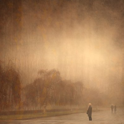 Álomszerű őszi séta alkotó: Anja Buehrer