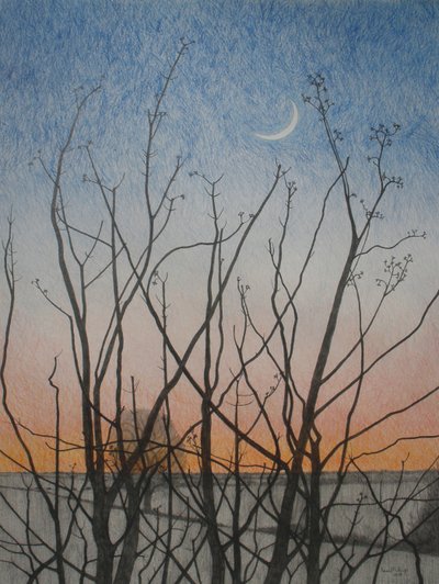 Az én ablakomból, 2011 (színes ceruza papíron) alkotó: Anna Phillips