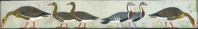 Itet Mastaba falfestményének másolata, IV. Medum, 93-94 liba, XX. alkotó: Anna