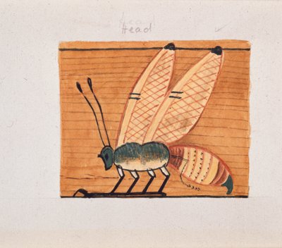 Falfestmény másolata, Mentuhotep sírja, Théba, XX alkotó: Anna