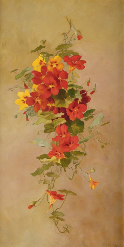 Nasturtiums alkotó: Anna Eliza Hardy
