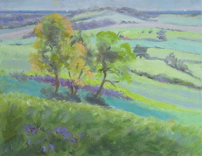 Winchelsea felé, Sussex, Bluebells tavasszal alkotó: Anne Durham