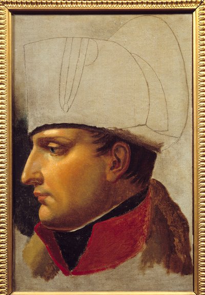 I. Napóleon (1769-1821) portréja Bécs város kulcsainak november 13-i átadásához. alkotó: Anne Louis Girodet de Roucy Trioson