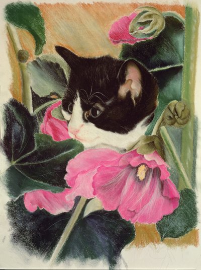 Cica és hollyhocks alkotó: Anne Robinson