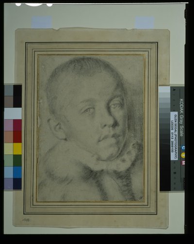 Fiatal fiú arcképe (fekete kréta és faszén papíron) alkotó: Annibale (follower of) Carracci