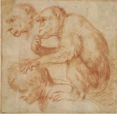 Carracci - Egy majom egy férfi vállán, profilban balra és az arcának tanulmánya, tanulmány egy festményhez Vörös kréta, Ff,2.115 alkotó: Annibale Carracci