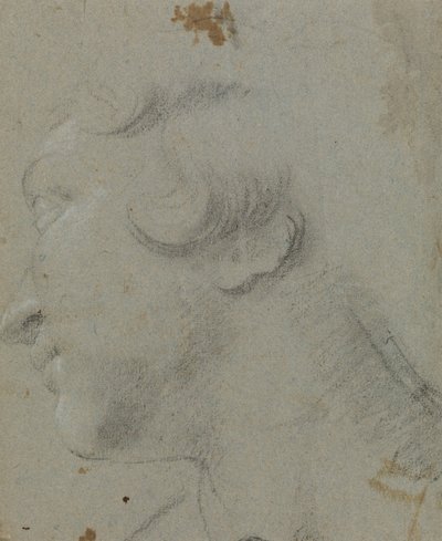 Carracci - r Szent Katalin feje, RCIN 902115 alkotó: Annibale Carracci