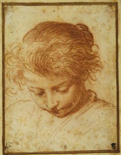 Egy fiatal lány feje lefelé néz (piros kréta krémpapíron) alkotó: Annibale Carracci